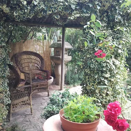 Casa De Palmeras Apartamento *
