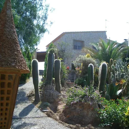 Casa De Palmeras