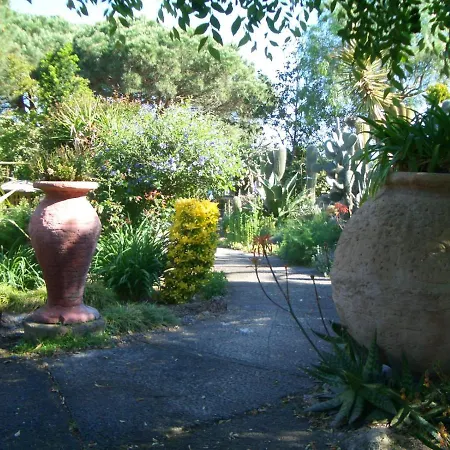 Casa De Palmeras Apartment